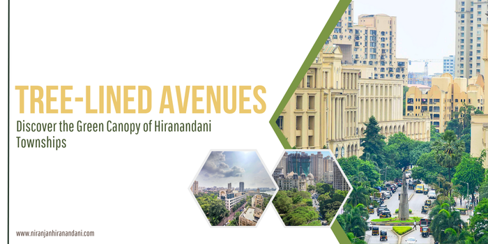 Hiranandani Tree-Lined Avenues