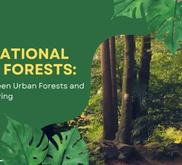 International Day of Forests